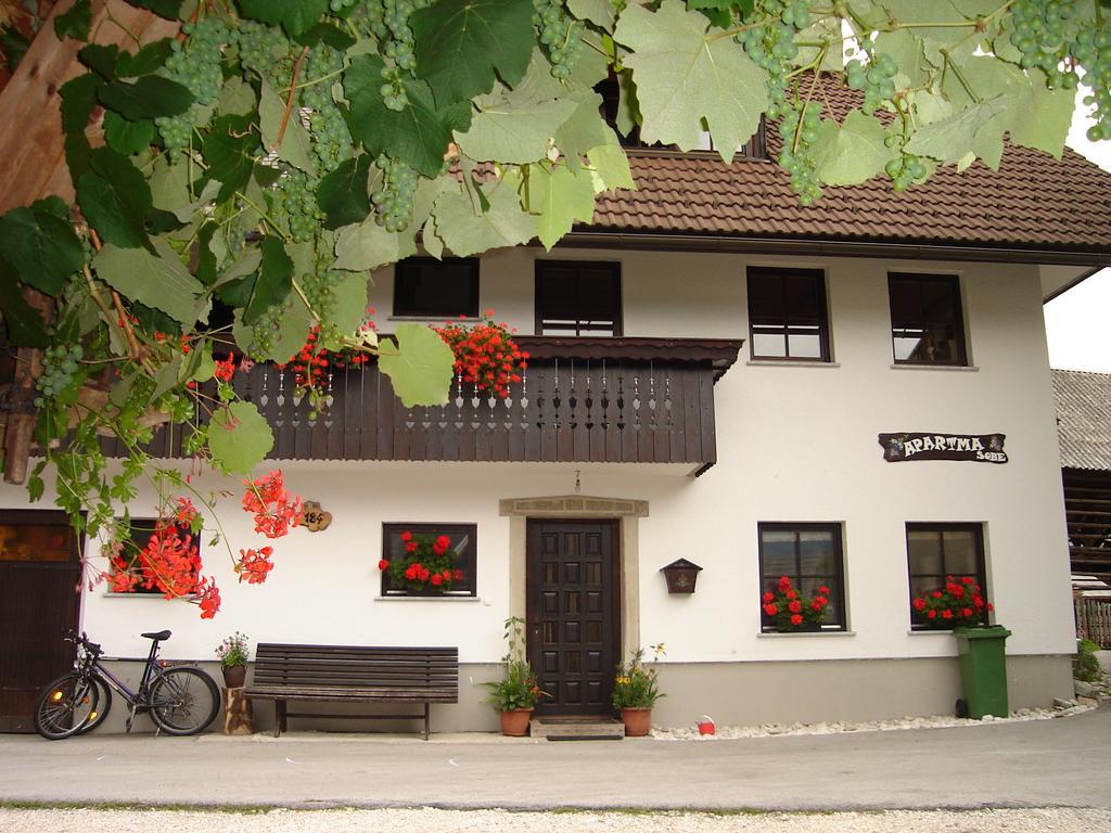 Apartment Cesar Bohinj Exterior foto